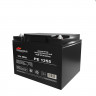 Батарея аккумуляторная Prometheus (12V 55Ah) Prometheus energy PE1255