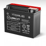 Аккумулятор ИРКУТ YTX24HL-BS Аккумулятор ИРКУТ YTX24HL-BS