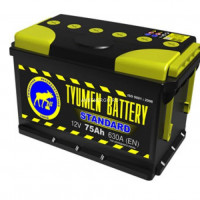 Тюмень STANDARD 75.0