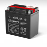 Аккумулятор ИРКУТ YTX5L-BS