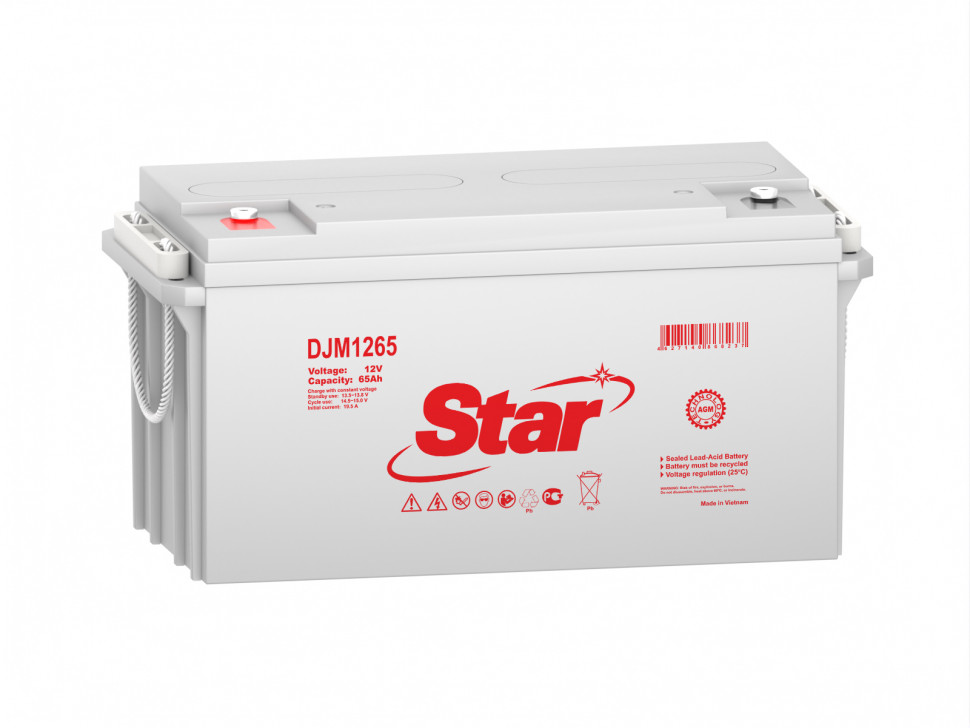 Аккумулятор для ИБП STAR DJM1265