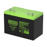 Тяговый аккумулятор WBR GPC 12-105-2 (CARBON)