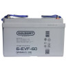 Тяговый аккумулятор Gelbert 6-EVF-60 (12V64A/H C5)