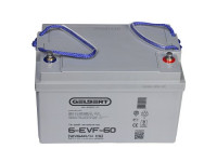 Gelbert 6-EVF-60 (12V64A/H C5)