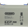 Тяговый аккумулятор Gelbert 6-EVF-100 (12V105A/H C5)
