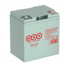 Аккумулятор тяговый WBR EVX8170S (8v 170ah)