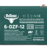 Тяговый аккумулятор Rutrike 6-DZF-12 (12V13A/H C3)