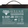 Тяговый аккумулятор Rutrike 6-DZF-28 (12V28A/H C3)