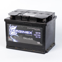 ERGINEX  62.0