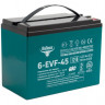 Тяговый аккумулятор Rutrike 6-EVF-45 (12V45A/H C5)