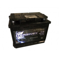 Erginex 55.0