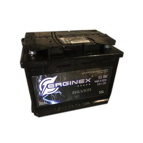 Автомобильный Аккумулятор Erginex 55.0