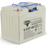 Тяговый аккумулятор Rutrike 6-EVF-80 (12V80A/H C3)